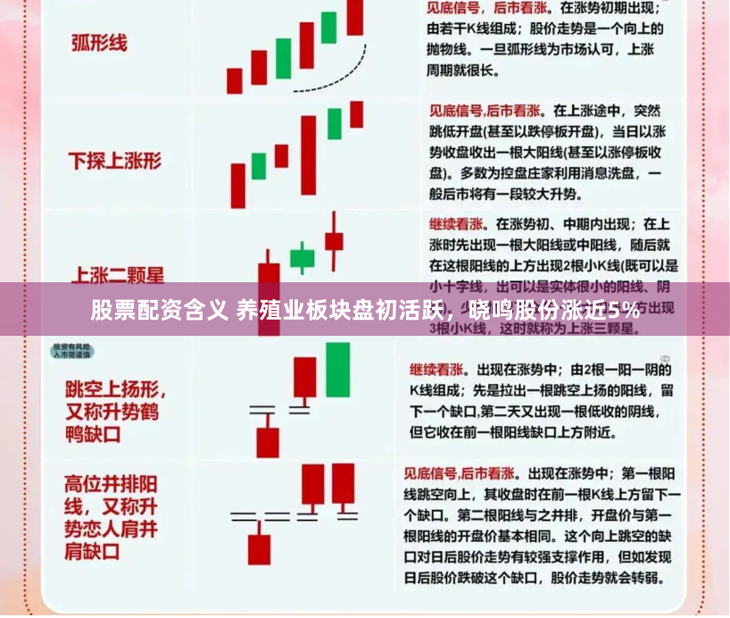 股票配资含义 养殖业板块盘初活跃，晓鸣股份涨近5%
