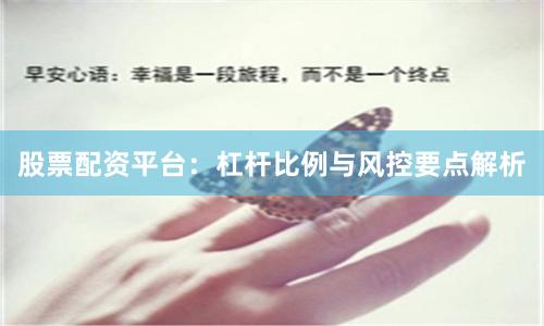 股票配资平台：杠杆比例与风控要点解析